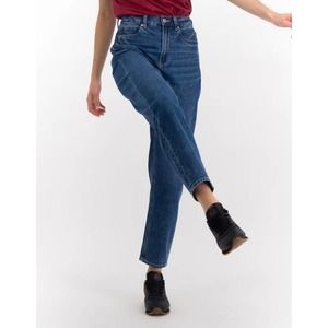 American Eagle Mom Jean Relaxed fit High Waisted Casual Denim Medium Wash Sz 6
